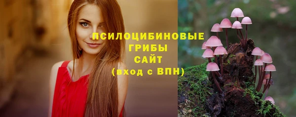 ALPHA PVP Алзамай