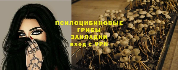 соль курить ск Алексеевка