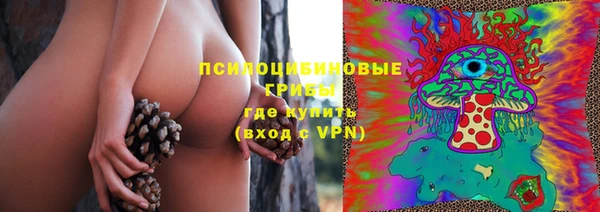 a pvp Алексин