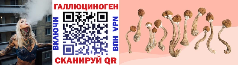Псилоцибиновые грибы мухоморы  Купить  Уржум 
